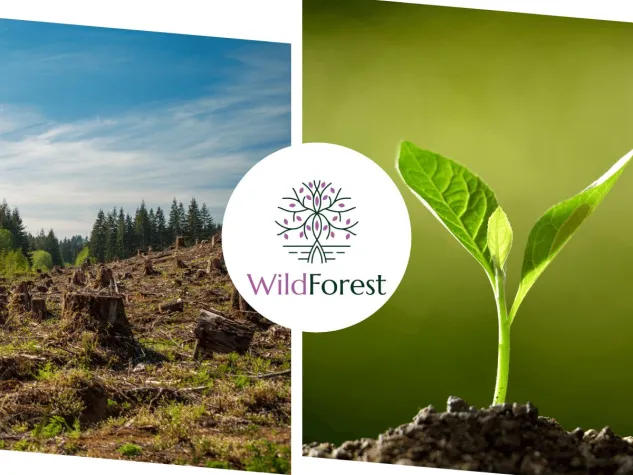 Bild: Ein Kampf gegen CO2 Ausstoß und die Entwaldung der Welt