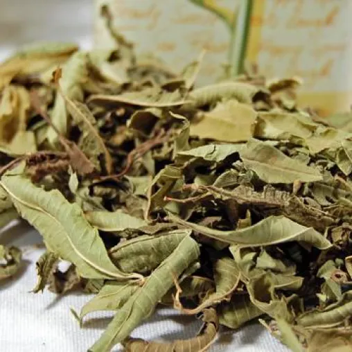 Bild: Gesunde Sommererfrischung: Verveine Tee, Frankreichs heimliches Nationalgetränk