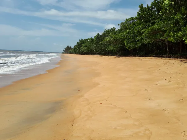 Bild: Der TRAUM vom eigenen FERIEN-BUNGALOW