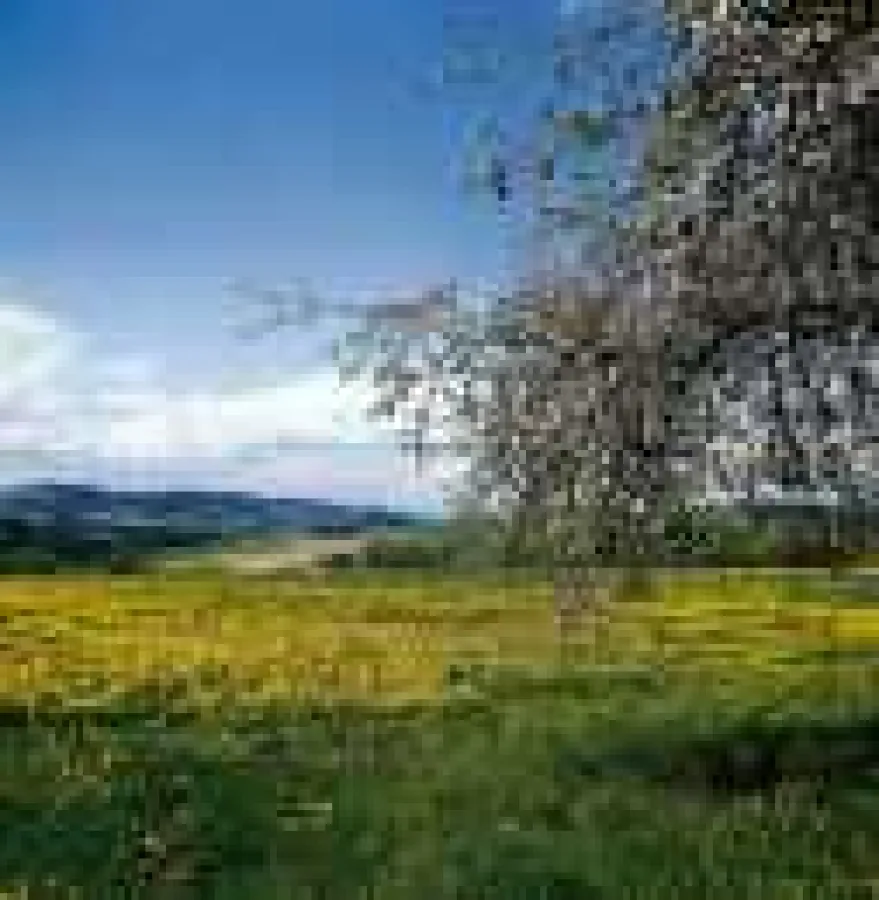 Landschaft in Bayern