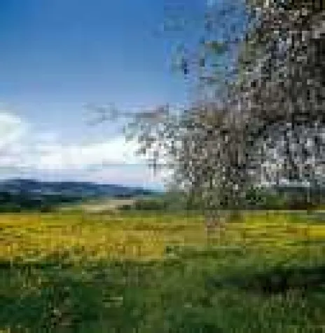 Bild: Deutscher Wanderverband zeichnet Goldsteig aus