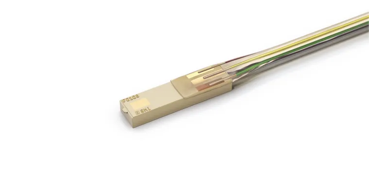 Bild: IntraSense - Ultrakompakter in-vivo Drucksensor für minimalinvasive Medizintechnik