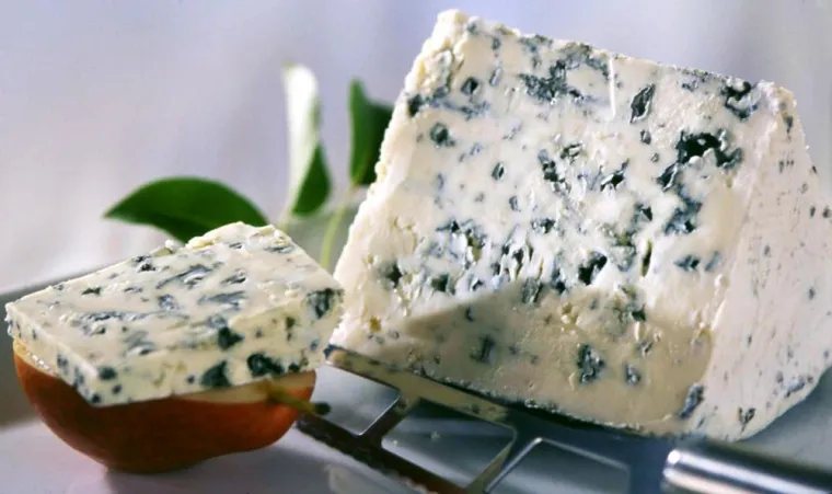 Der Expertentipp im Februar - Kann Schimmelkäse schimmeln? Bild: Der Expertentipp im Februar - Kann Schimmelkäse schimmeln?