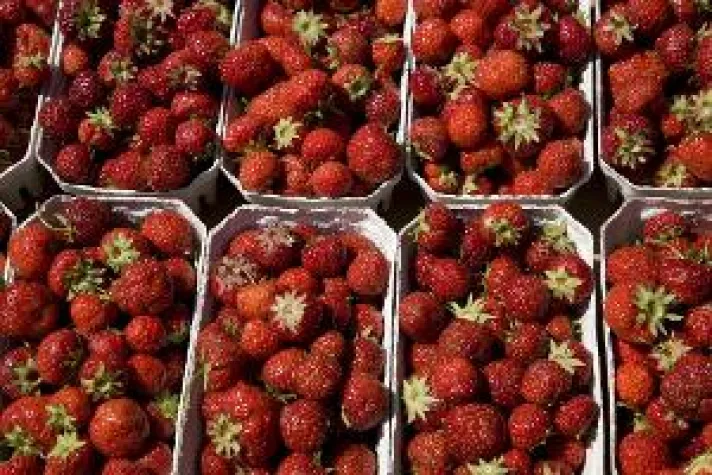 Bild: Köstlichkeiten aus Dänemarks Speisekammer