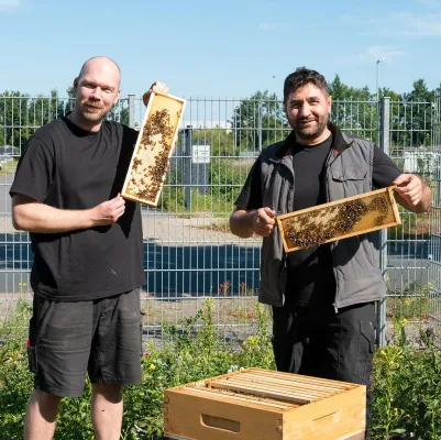 Ein Zuhause für 50.000 Mitarbeiter*innen: terminic GmbH verlängert Bienenpatenschaft um ein weiteres Jahr Bild: Ein Zuhause für 50.000 Mitarbeiter*innen: terminic GmbH verlängert Bienenpatenschaft um ein weiteres Jahr