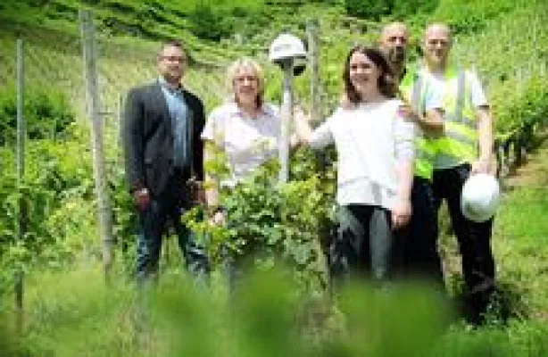 Bild: Contargo transportiert Importweine per Binnenschiff ins Hinterland