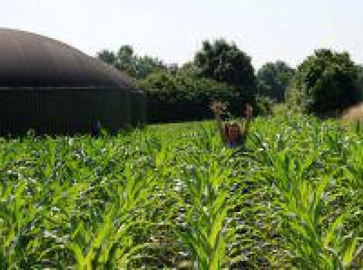 Ohne Biogas und seine Flexibilität ist die Energiewende nicht denkbar.