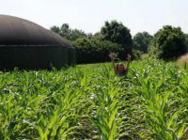 Bild: Biogas: Wichtiger denn je?