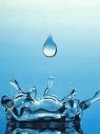 Bild: Bakterien und Chemikalien im Wasser