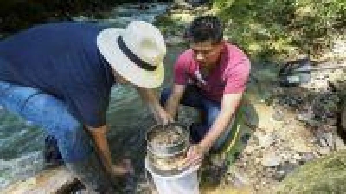 Quelle: Aurania Resources