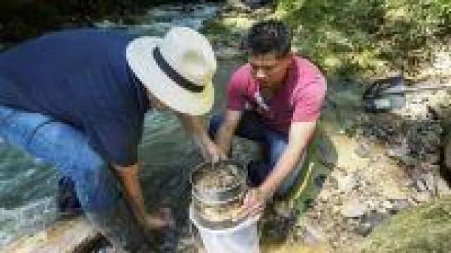 Bild: Die nächsten Jahre als goldene Chance