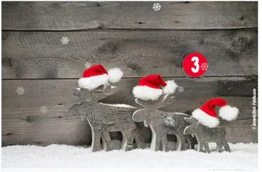 Bild: Mitmachen und gewinnen: Der sichere Adventkalender der Basler Versicherung in Österreich ist online