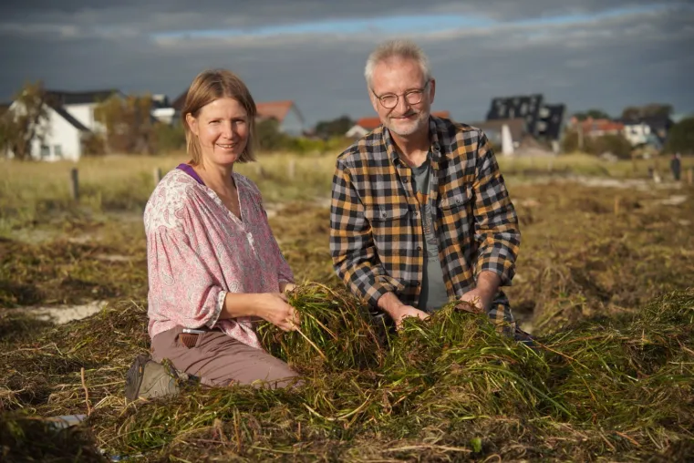 Bild: Seegras für Alle! Crowdfunding Aktion für die Zulassung von Seegras als Dämmstoff