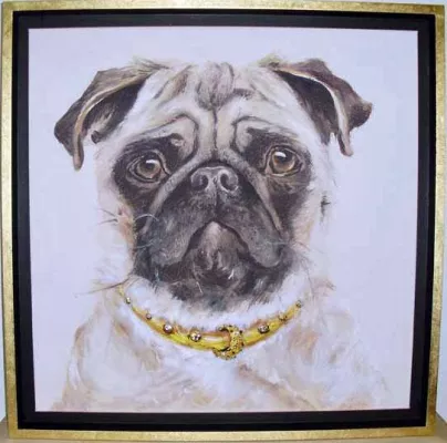 Bild: Tiere, Luxus & Verrücktes