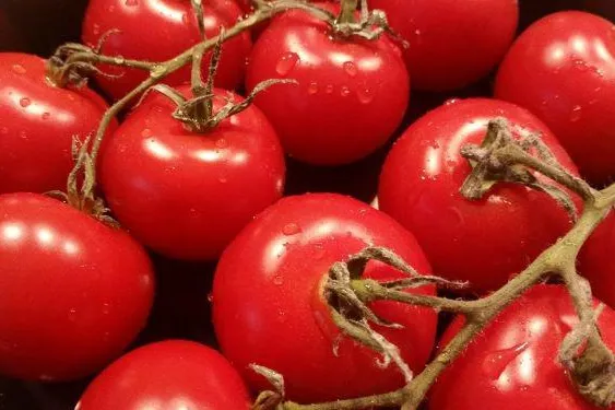 Bild: La Tomatina 2018 – Das größte Tomatenspektakel der Welt