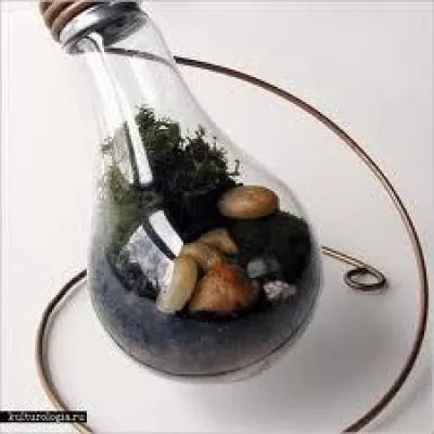 Bild: Terrarium: absolut im Trend