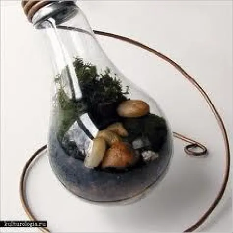 Terrarium: absolut im Trend Bild: Terrarium: absolut im Trend