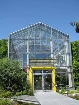 Bild: Fleckenstein-Atelier - Kunst und Architektur pur: Baustelle und Bananenstauden in Mannheim