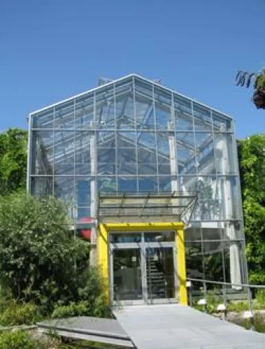 Bild: Fleckenstein-Atelier - Kunst und Architektur pur: Baustelle und Bananenstauden in Mannheim