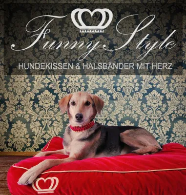 Bild: Es war Liebe auf den ersten Blick: Witzige Hundehalsbänder und Hundekissen im neuen Onlineshop FunnyStyle