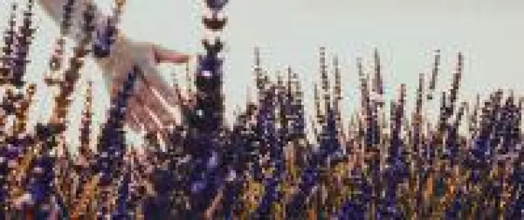 Alte Tradition und unternehmerische Verantwortung. Bild: Alte Tradition und unternehmerische Verantwortung.