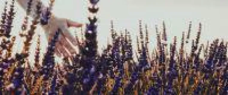 Bild: Alte Tradition und unternehmerische Verantwortung.