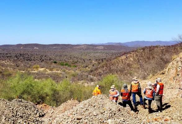 Bild: Tocvan Ventures: Laugungsstudie zeigt potenziell sehr hohe Goldgewinnungsraten auf