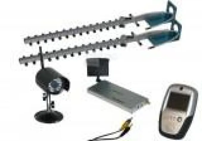 Bild: Im Stall immer präsent sein