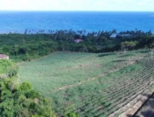 Rum ist das neue Gewürz – Grenada erhält hochmoderne Destillerie Bild: Rum ist das neue Gewürz – Grenada erhält hochmoderne Destillerie
