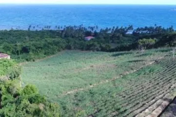 Bild: Rum ist das neue Gewürz – Grenada erhält hochmoderne Destillerie