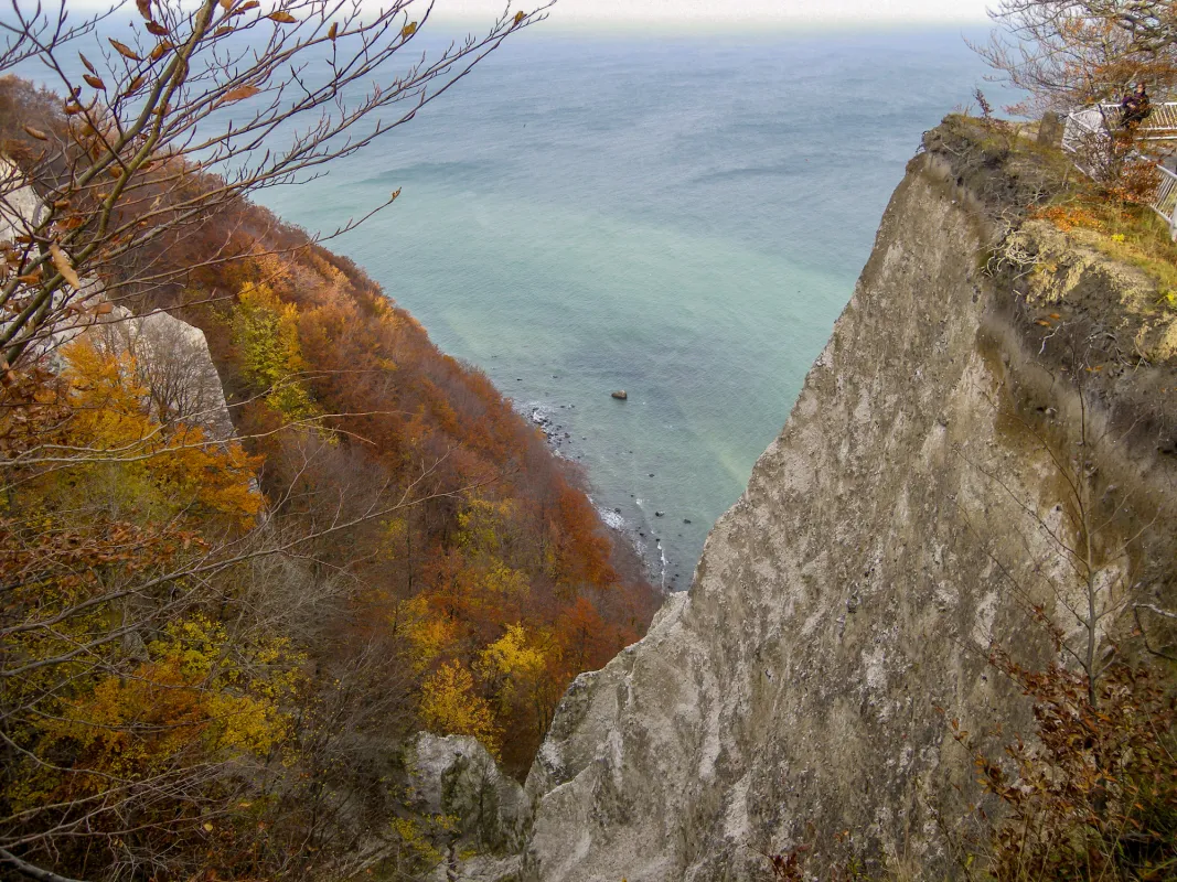 Beim Aktivherbst Rügen dabei: Rangerwanderungen im Nationalpark Jasmund (© Ostseeappartements Rügen)