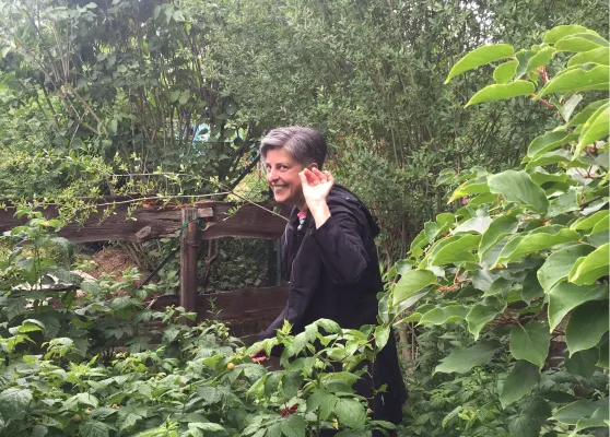 Bild: Müller foult Koalitionspartner - und brüskiert die eigenen Genossen aus Charlottenburg