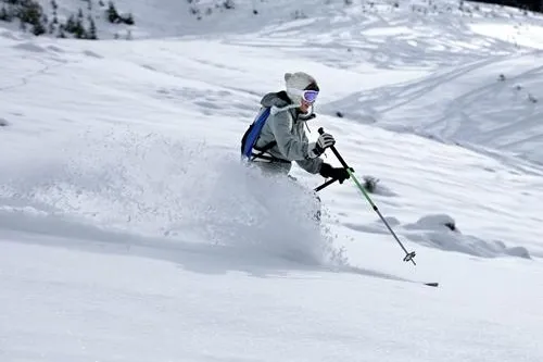 Bild: Mit 'The Freeride Experience' durch unberührten Tiefschnee