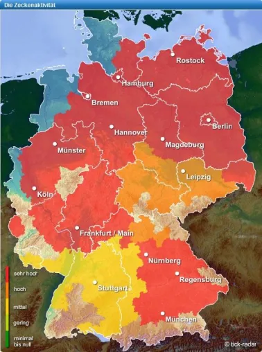 Bild: Das beste Zeckenwetter: Neuer Online-Service auf Wetter24.de