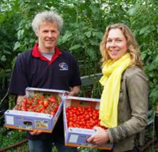 Gute Nachrichten für Tomaten-Fans: Nature & More ‚Taste Wonders’ sind wahre Geschmackswunder in Bio-Qualität Bild: Gute Nachrichten für Tomaten-Fans: Nature & More ‚Taste Wonders’ sind wahre Geschmackswunder in Bio-Qualität