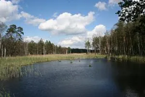 50 Jahre Naturparke in Deutschland - Dübener Heide will sich als bedeutsame Natur- und Kulturlandschaft Mitteldeutschlands profilieren Bild: 50 Jahre Naturparke in Deutschland - Dübener Heide will sich als bedeutsame Natur- und Kulturlandschaft Mitteldeutschlands profilieren