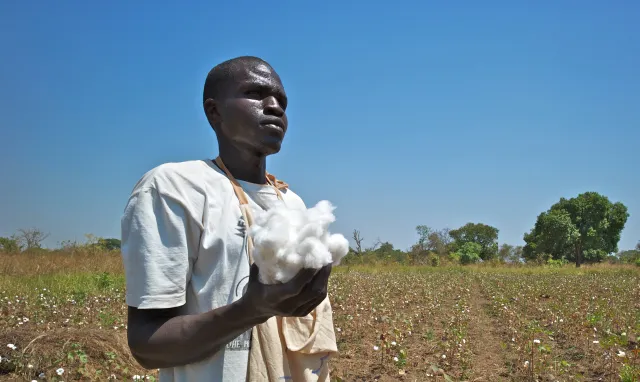 Bild: Case Study für Baumwollproduktion nach SDG8: Wie die Baumwolltextil-Branche endlich wirklich fair werden kann
