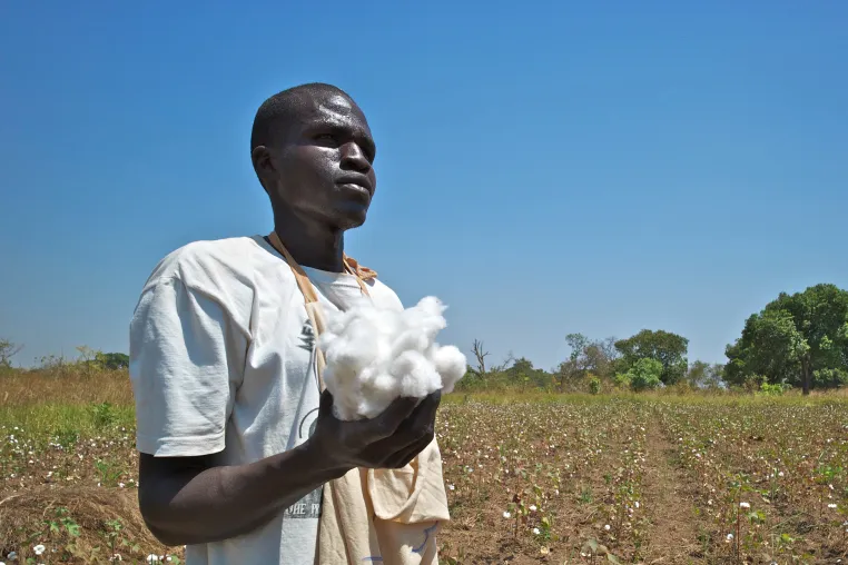 Bild: Case Study für Baumwollproduktion nach SDG8: Wie die Baumwolltextil-Branche endlich wirklich fair werden kann