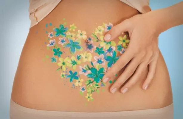 Bild: Die 'Immunabwehr' des Darms