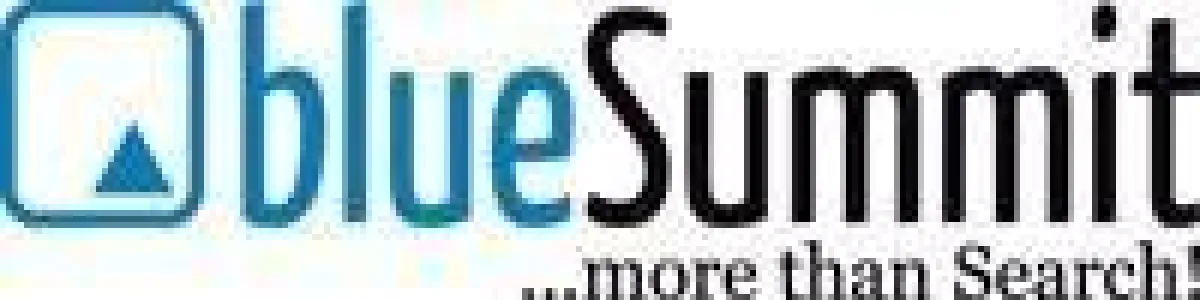 blueSummit weiter auf personellen Wachstumskurs