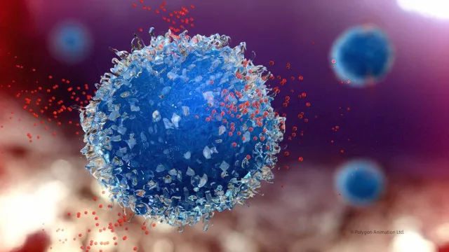 Medizinische Animation Markt ermitteln Wachstumspotenzial durch Nachfrageprognose Bild: Medizinische Animation Markt ermitteln Wachstumspotenzial durch Nachfrageprognose