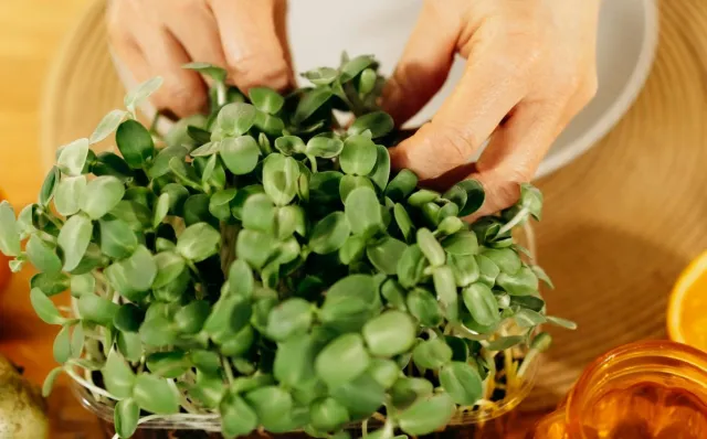 Erfahrungen mit Fastic beim Intervallfasten - Wie moderne Apps beim gesunden Abnehmen helfen Bild: Erfahrungen mit Fastic beim Intervallfasten - Wie moderne Apps beim gesunden Abnehmen helfen