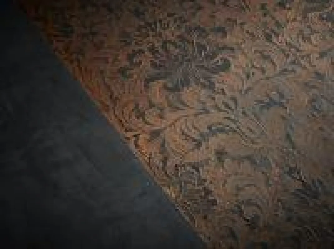 EINHORN WERKE Wandgestaltung - Beispiel: Oberflächen-Struktur mit STUCCORINO Effect Bronze