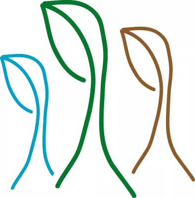 Bild: Bundesverband CAD – Cannabis Anbauvereinigungen Deutschlands begrüßt neue Cannabis-Gesetzgebung