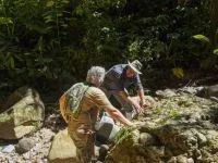 Bild: Aurania entdeckt neues hochgradiges Gold in Kupferzone und findet bei Schürfproben 325 g/t Silber
