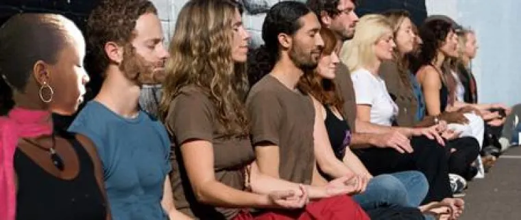 Bild: Maharishis Erben im neuen Aufzug - Der transzendentale Volkswagen