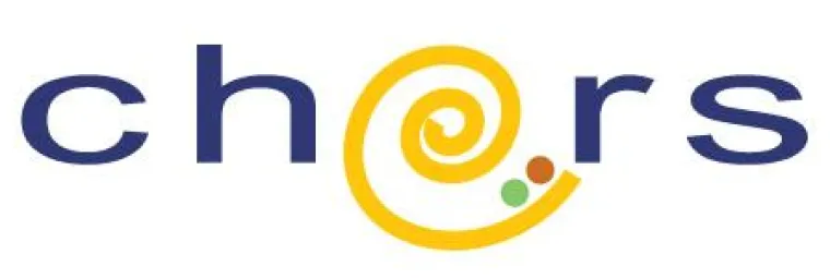 Bild: chors GmbH belegt Spitzenplatz bei CyberChampions 2009