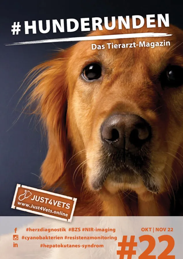 Fachmagazin für Tierärzte und Tierärztinnen (© Heike Kaminsky)