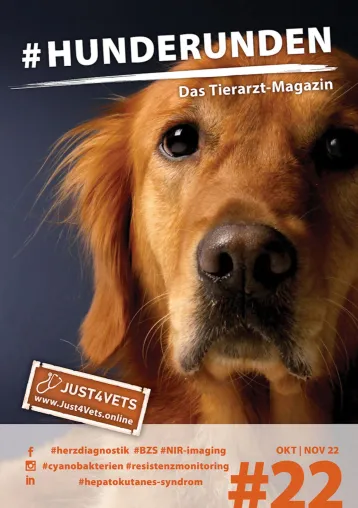 Bild: Tierarztmagazin HUNDERUNDEN #22