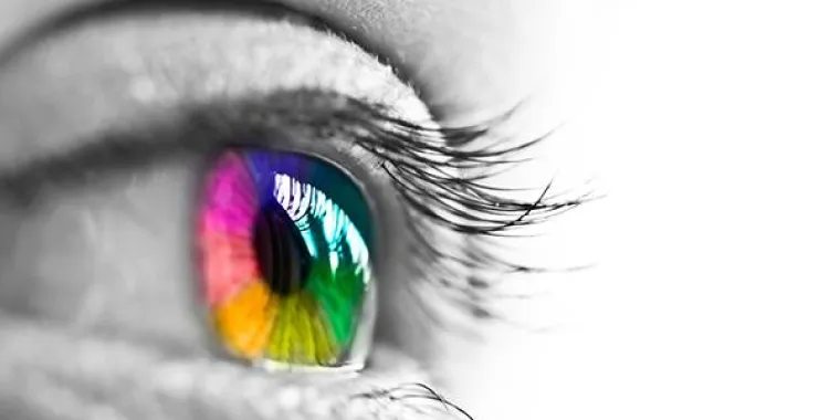 1. PRO RETINA Jugendaktionstag im LWL Berufsbildungswerk Soest Bild: 1. PRO RETINA Jugendaktionstag im LWL Berufsbildungswerk Soest